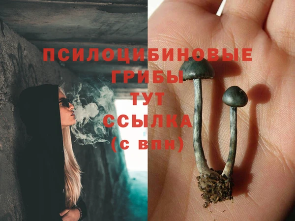 трава Козловка
